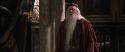 CS-Potterish_09501.jpg