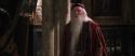 CS-Potterish_09502.jpg