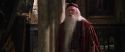 CS-Potterish_09503.jpg