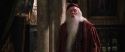 CS-Potterish_09504.jpg