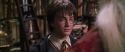 CS-Potterish_09543.jpg