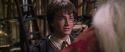 CS-Potterish_09544.jpg