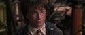 CS-Potterish_09574.jpg