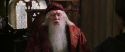 CS-Potterish_09596.jpg
