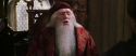 CS-Potterish_09598.jpg