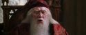 CS-Potterish_09633.jpg
