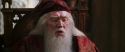CS-Potterish_09634.jpg