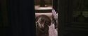 CS-Potterish_09670.jpg
