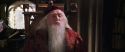 CS-Potterish_09717.jpg