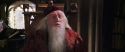 CS-Potterish_09721.jpg