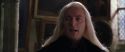 CS-Potterish_09723.jpg