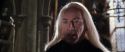 CS-Potterish_09730.jpg
