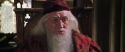 CS-Potterish_09745.jpg