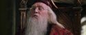 CS-Potterish_09762.jpg