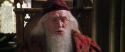 CS-Potterish_09770.jpg