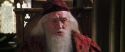 CS-Potterish_09772.jpg