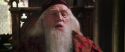 CS-Potterish_09795.jpg