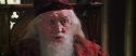CS-Potterish_09803.jpg