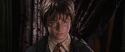 CS-Potterish_09812.jpg