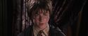 CS-Potterish_09817.jpg