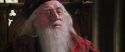 CS-Potterish_09826.jpg