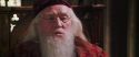 CS-Potterish_09832.jpg