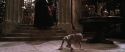 CS-Potterish_09842.jpg