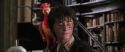 CS-Potterish_09854.jpg
