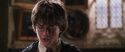 CS-Potterish_09860.jpg