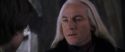 CS-Potterish_09906.jpg