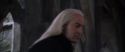 CS-Potterish_09915.jpg