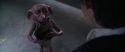 CS-Potterish_09920.jpg