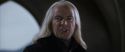 CS-Potterish_09950.jpg