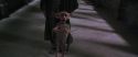 CS-Potterish_09961.jpg
