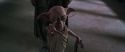CS-Potterish_09965.jpg