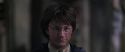 CS-Potterish_09972.jpg