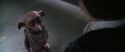 CS-Potterish_10008.jpg