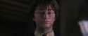 CS-Potterish_10011.jpg