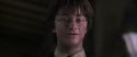 CS-Potterish_10015.jpg