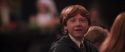 CS-Potterish_10056.jpg