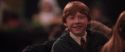 CS-Potterish_10060.jpg