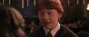 CS-Potterish_10075.jpg
