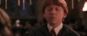 CS-Potterish_10082.jpg