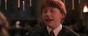 CS-Potterish_10083.jpg