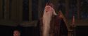 CS-Potterish_10109.jpg