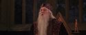 CS-Potterish_10112.jpg