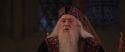 CS-Potterish_10121.jpg