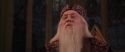 CS-Potterish_10136.jpg
