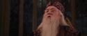 CS-Potterish_10137.jpg