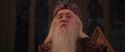 CS-Potterish_10138.jpg